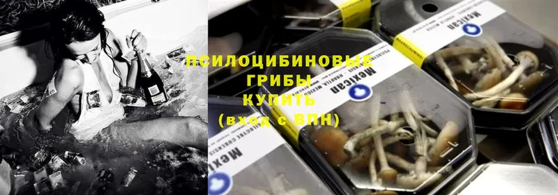 Псилоцибиновые грибы Magic Shrooms  купить   Навашино 